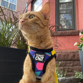 Travel Cat - Harness & Leash Set-"The 90s Cat"