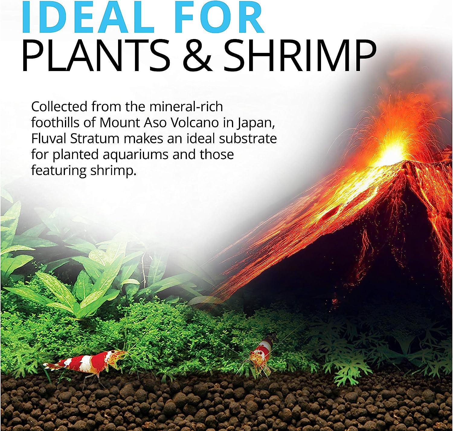Fluval - Stratum Volcanic Soil for Planted Aquariums or Shrimp