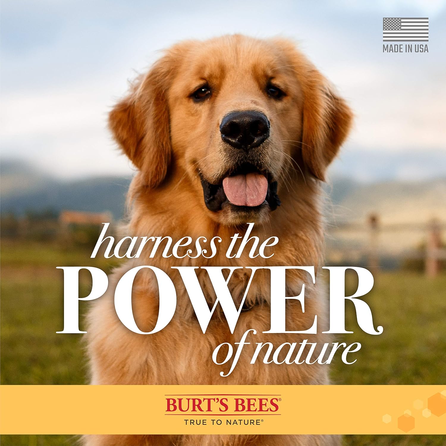 Burt's Bees - Calming Dog Shampoo w/ Lavender & Green Tea