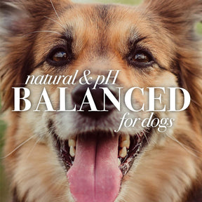 Burt's Bees - Calming Dog Shampoo w/ Lavender & Green Tea