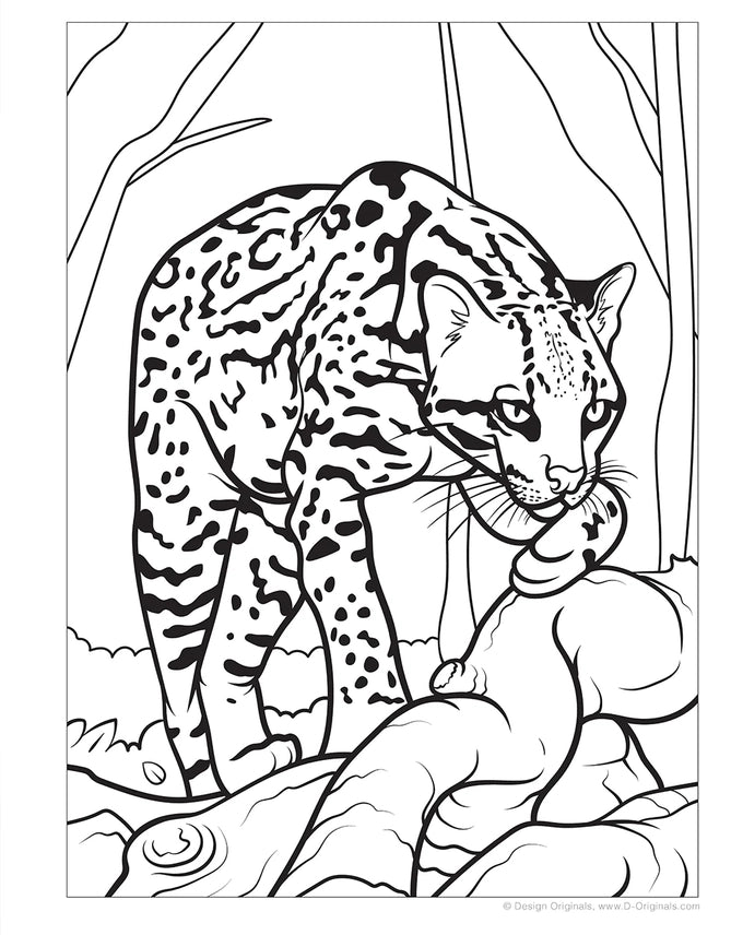Wellspring- Coloring Book - Great Amazon & Rainforest