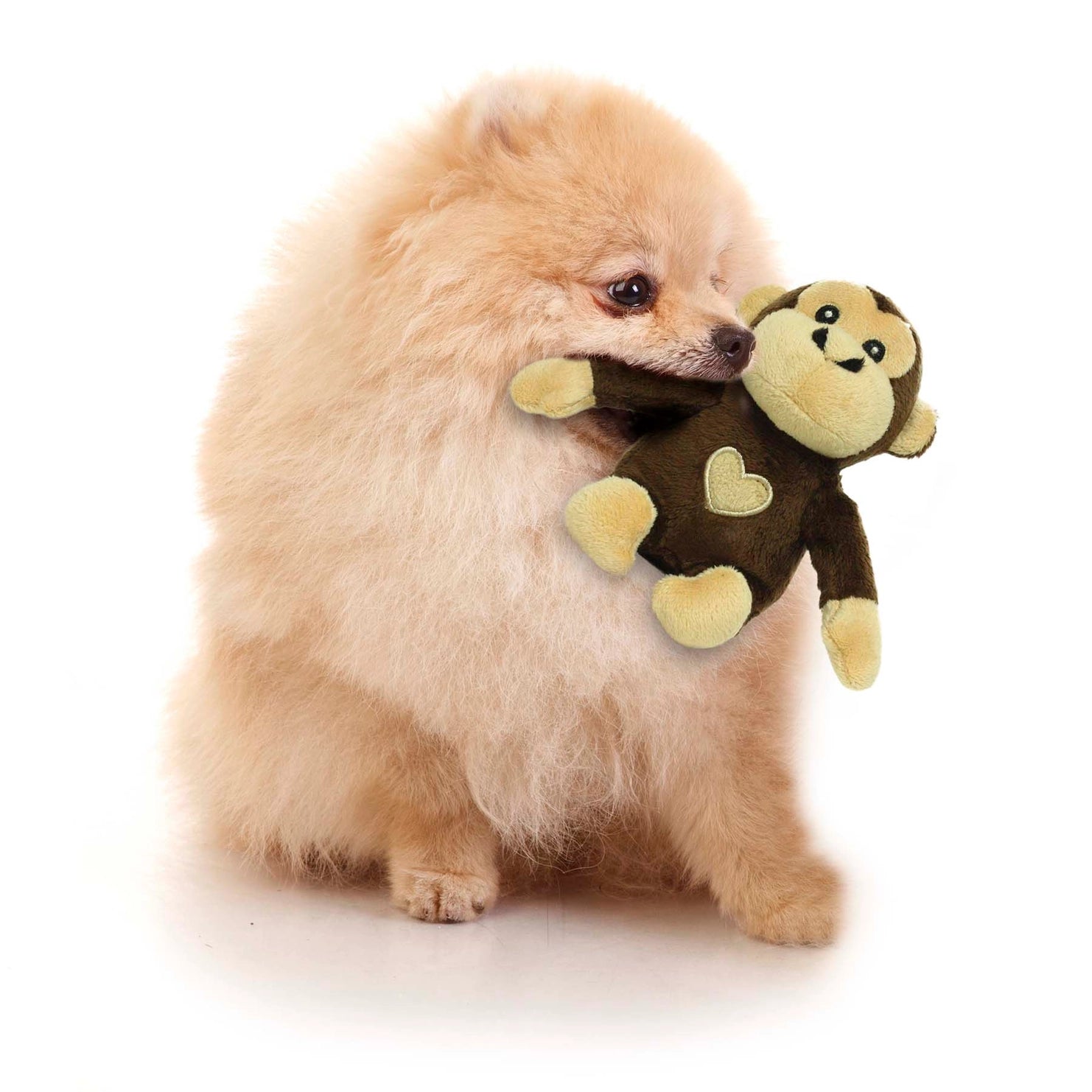 Tuffy Dog Toys - Mighty Jr Safari Monkey Plush Squeaky Dog Toy - Southern Agriculture 