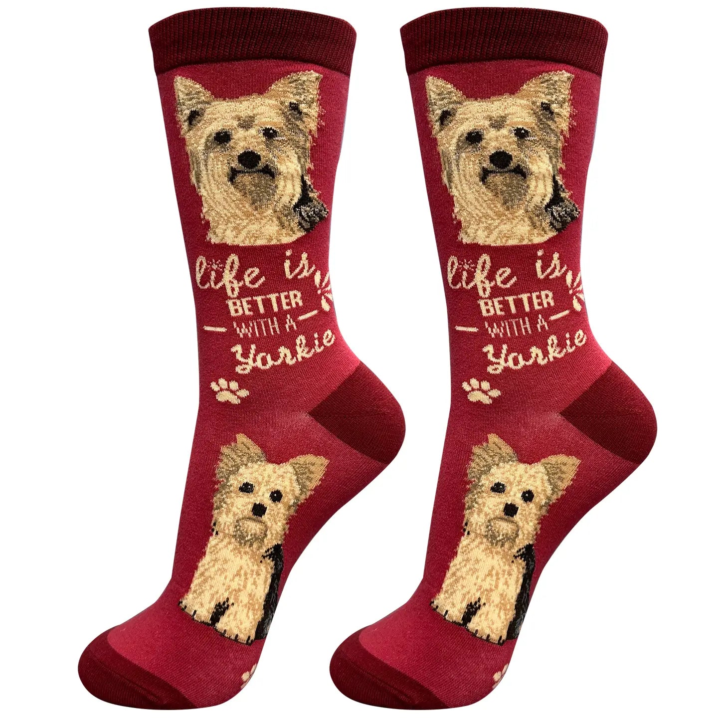 E & S Imports - Socks Yorkie