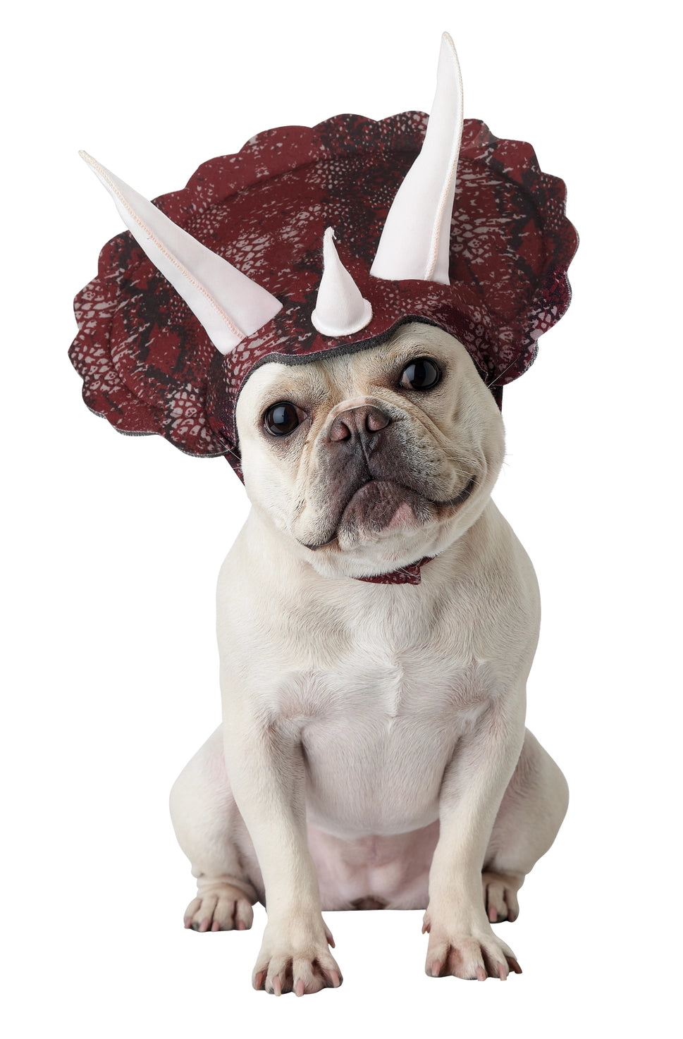 California Costumes - Halloween Costumes Triceradog