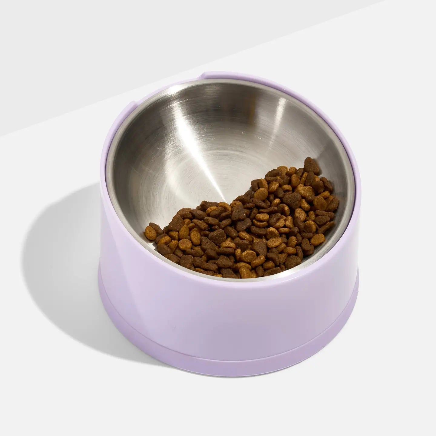 Wild One - Cat Bowl Slanted