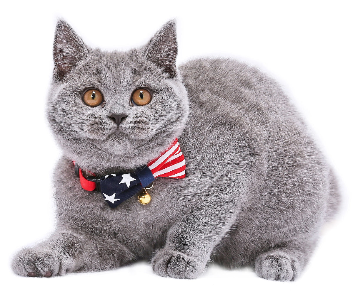 Moon-X USA - Cat Collar My Cat For President