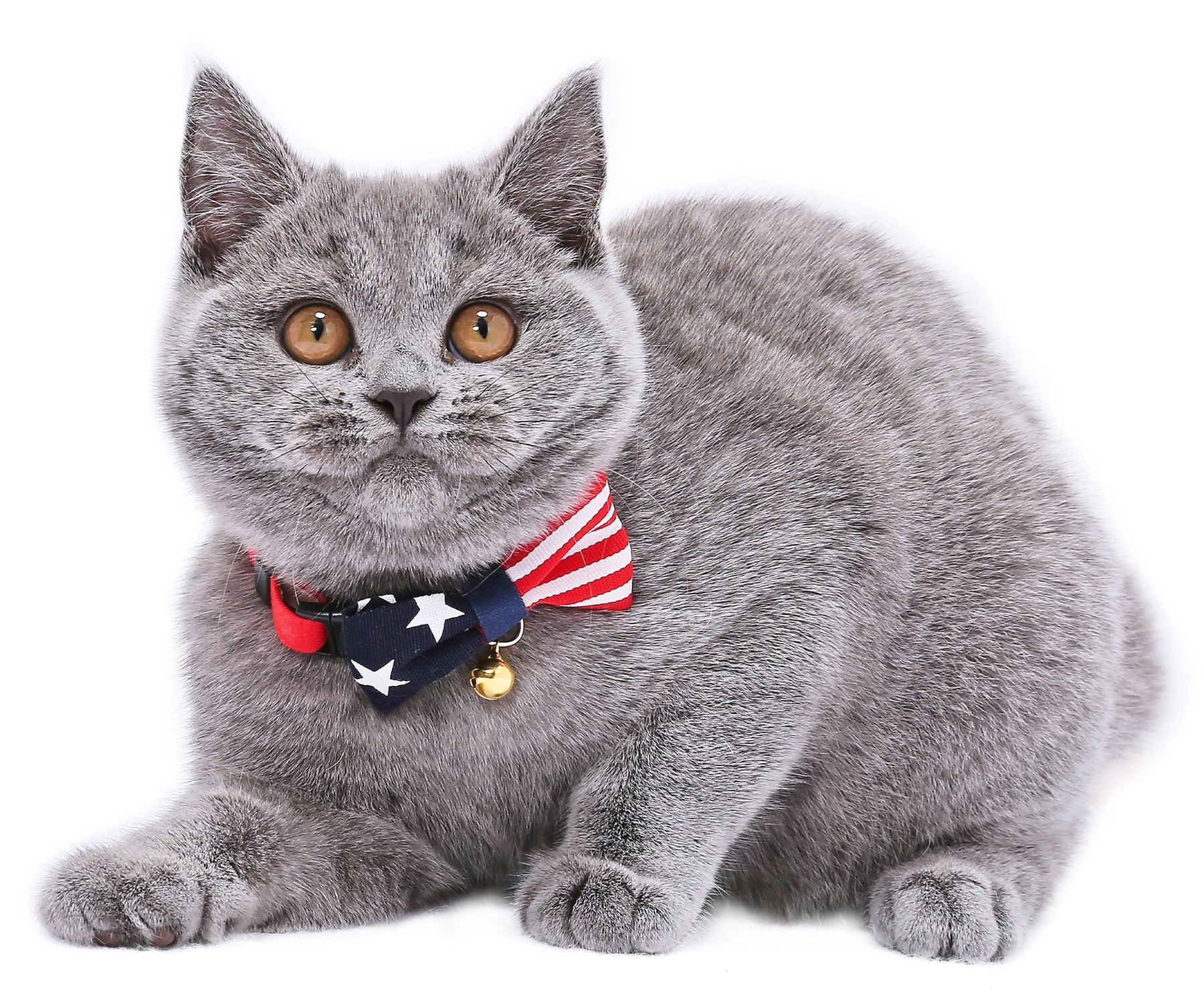 Moon-X USA - Cat Collar My Cat For President