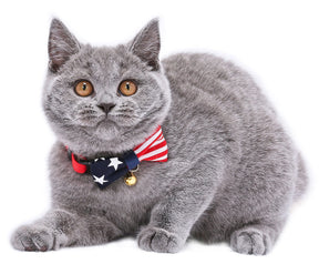 Moon-X USA - Cat Collar My Cat For President