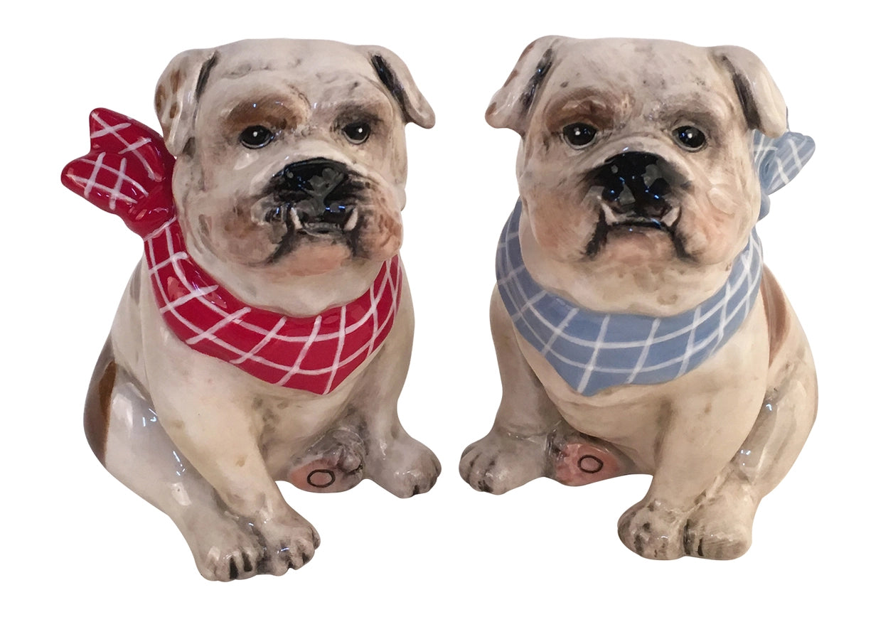 Blue Sky Clayworks - Penelope Salt & Pepper Set