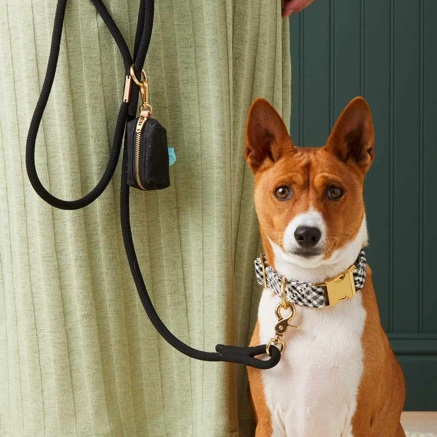 Foggy Dog - Dog Leash Climbing Rope 5 foot - Southern Agriculture 