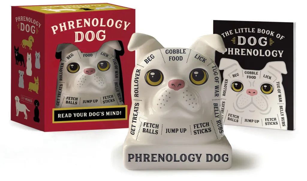 Hachette Book Group - Phrenology Dog Read Your Dog's Mind!