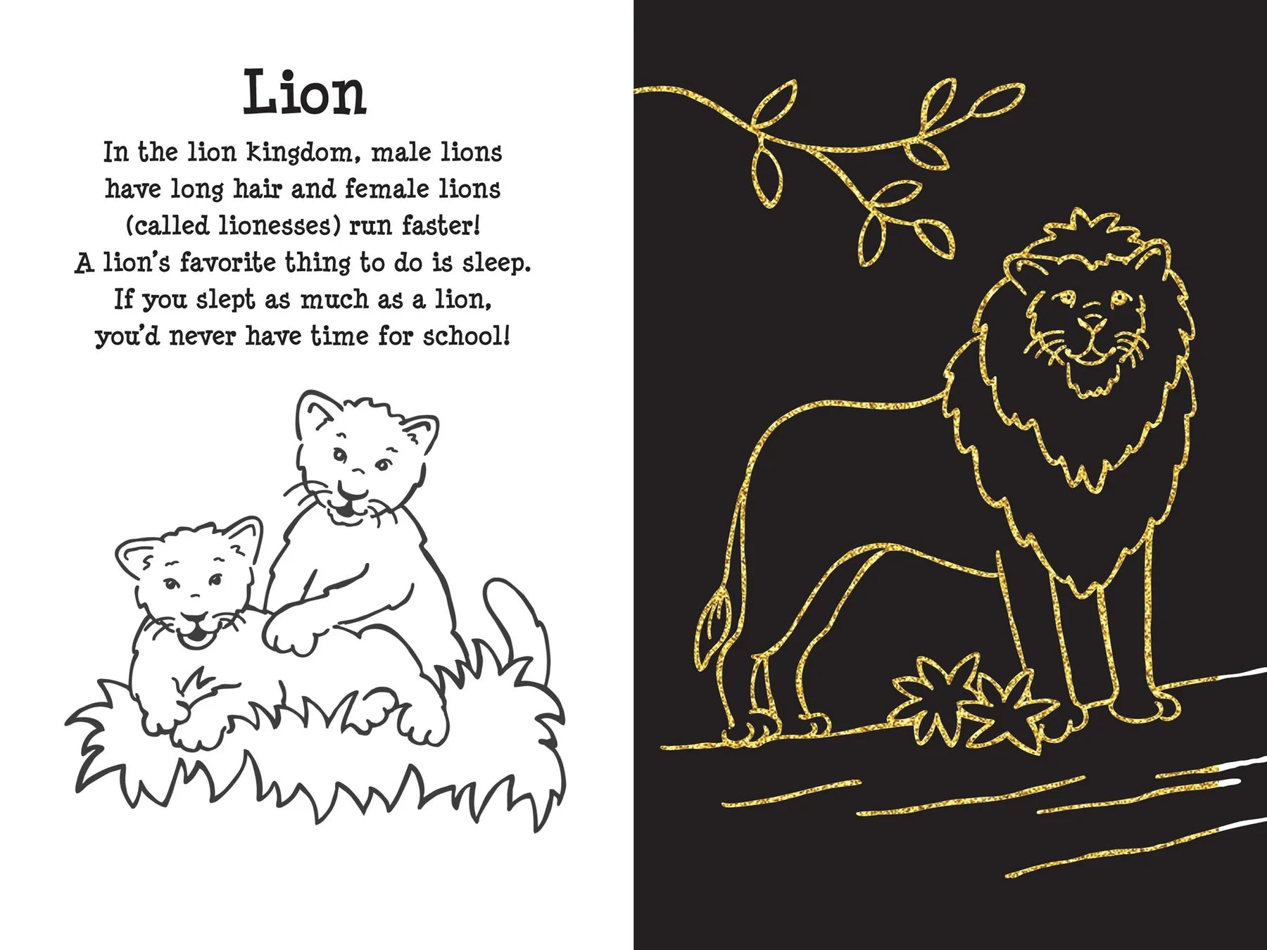 Peter Pauper Press - Scratch & Sketch At the Zoo