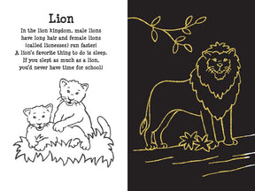 Peter Pauper Press - Scratch & Sketch At the Zoo