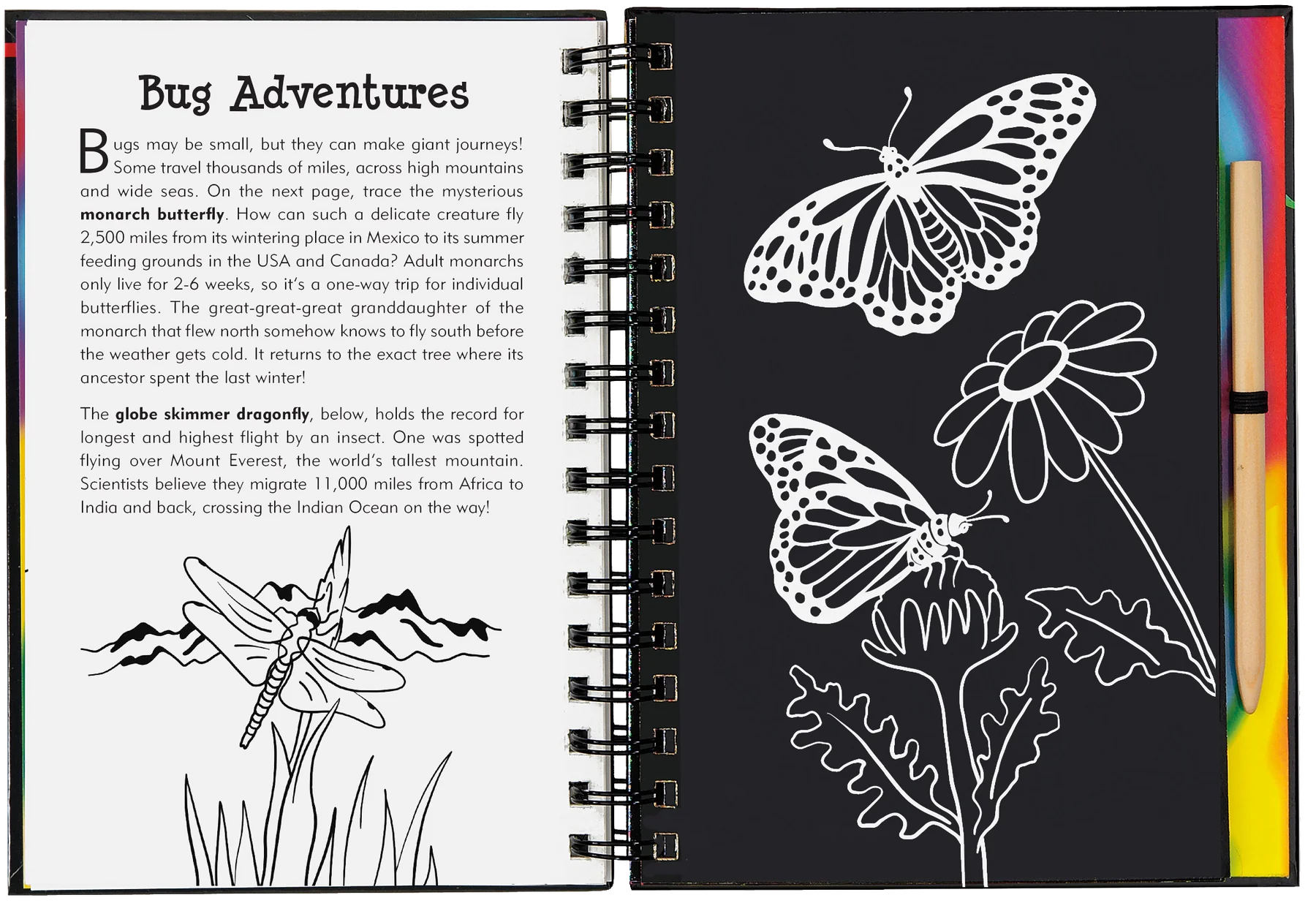 Peter Pauper Press - Scratch & Sketch Bugs