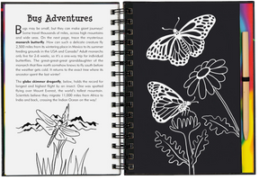 Peter Pauper Press - Scratch & Sketch Bugs