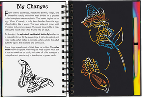 Peter Pauper Press - Scratch & Sketch Bugs