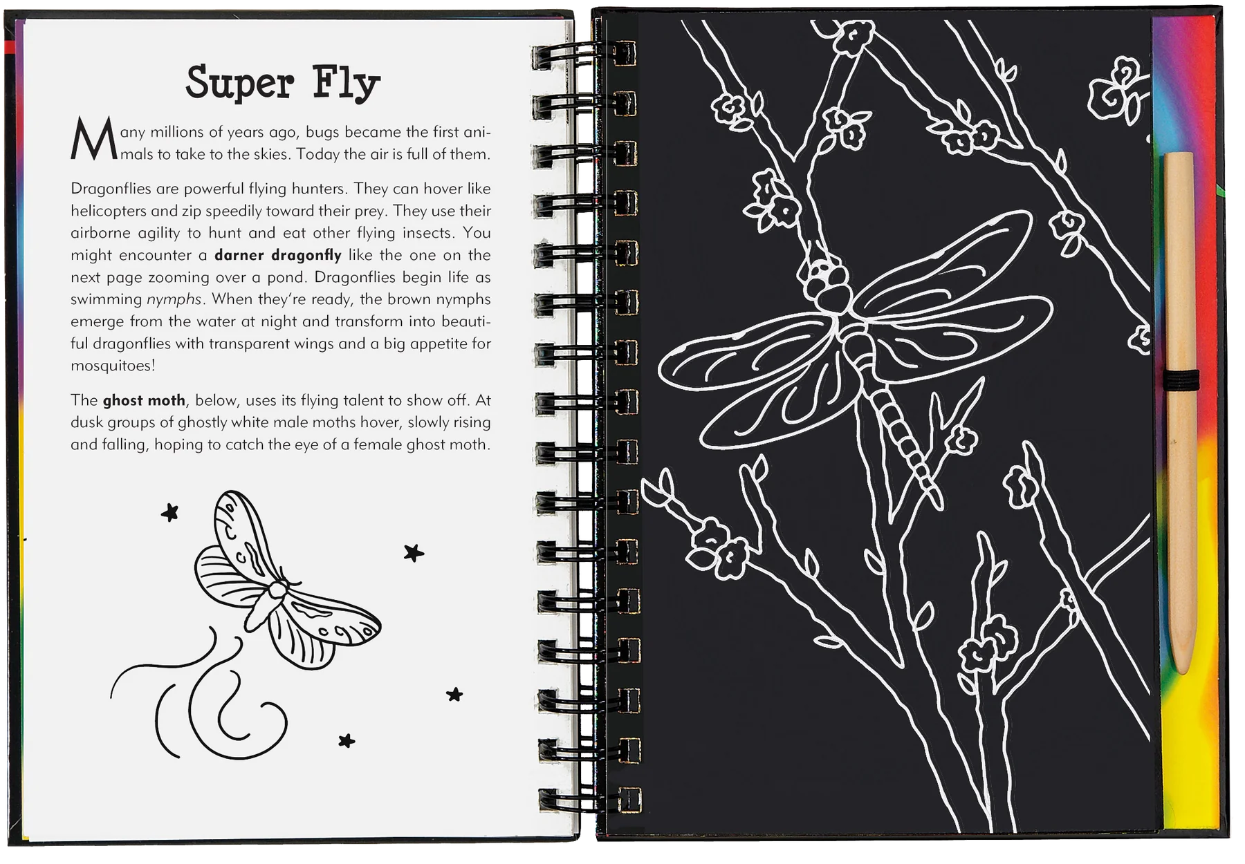 Peter Pauper Press - Scratch & Sketch Bugs