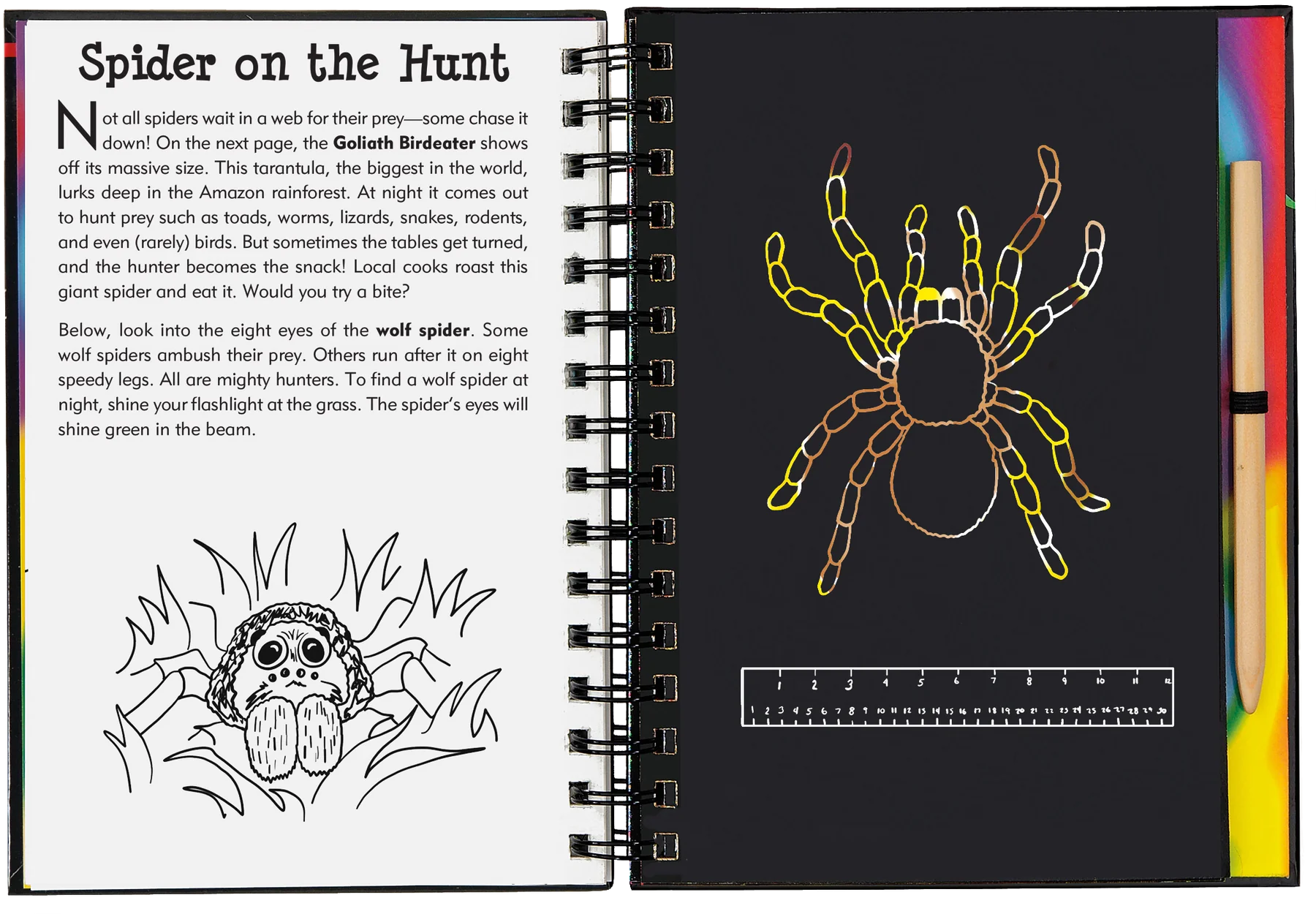 Peter Pauper Press - Scratch & Sketch Bugs