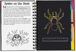 Peter Pauper Press - Scratch & Sketch Bugs