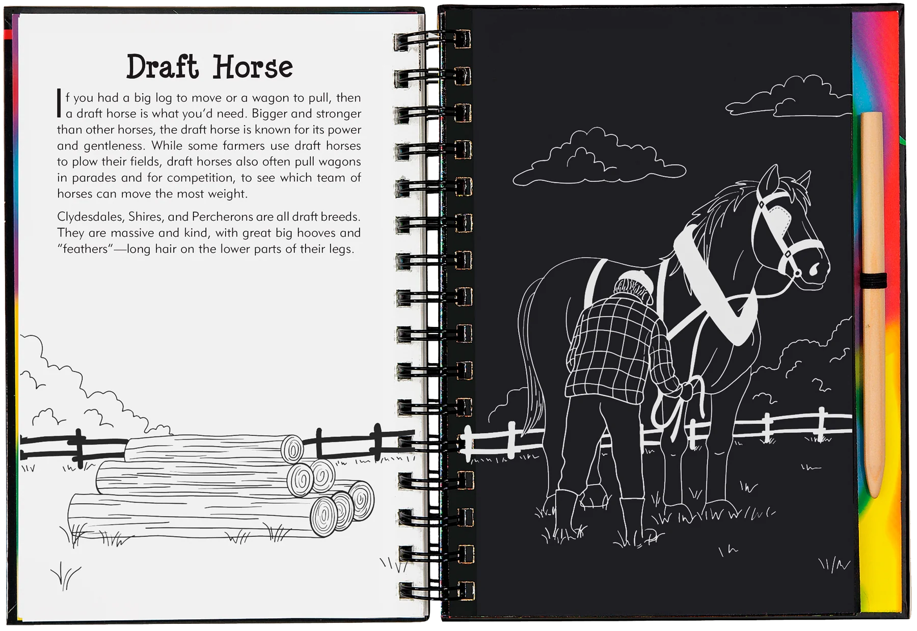 Peter Pauper Press - Scratch & Sketch Horses