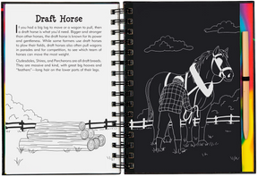 Peter Pauper Press - Scratch & Sketch Horses