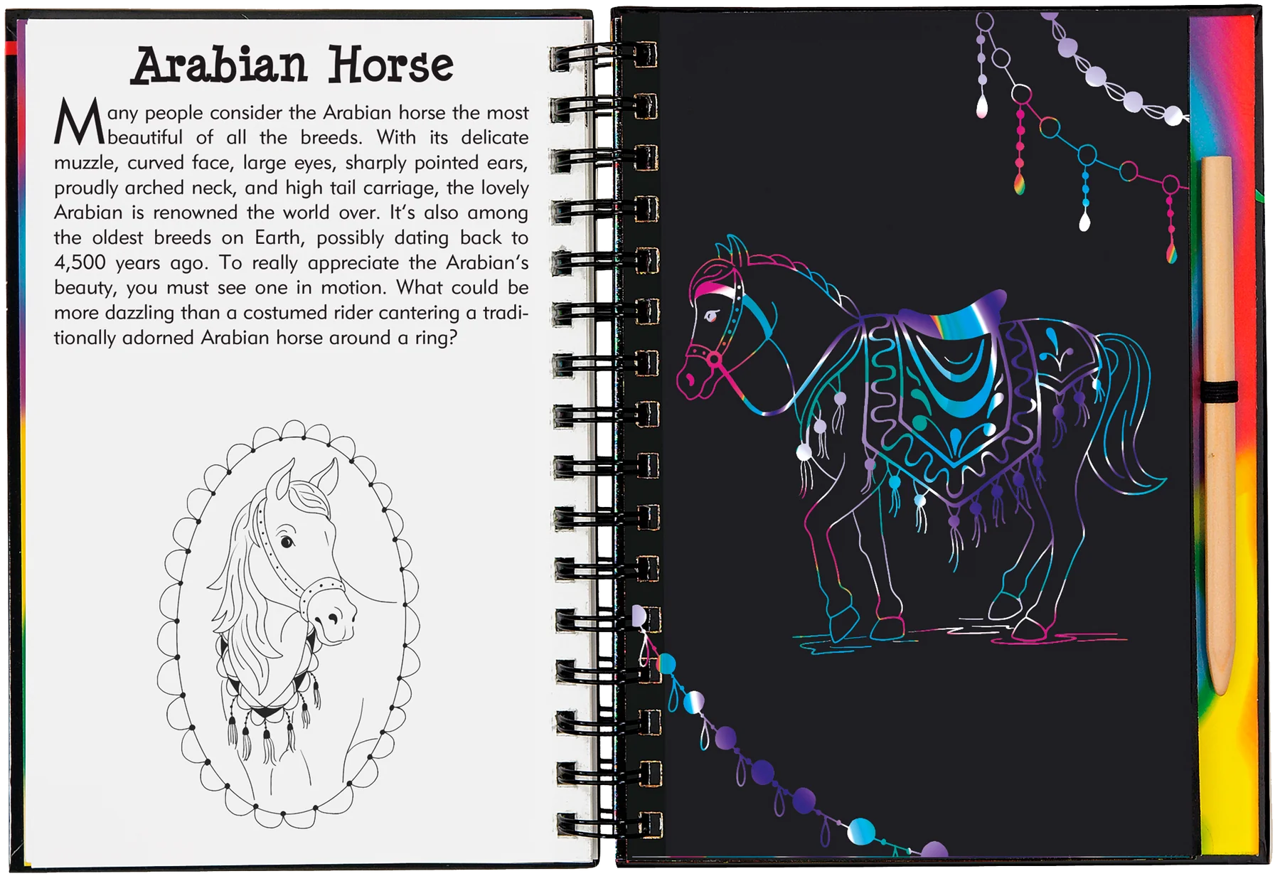 Peter Pauper Press - Scratch & Sketch Horses