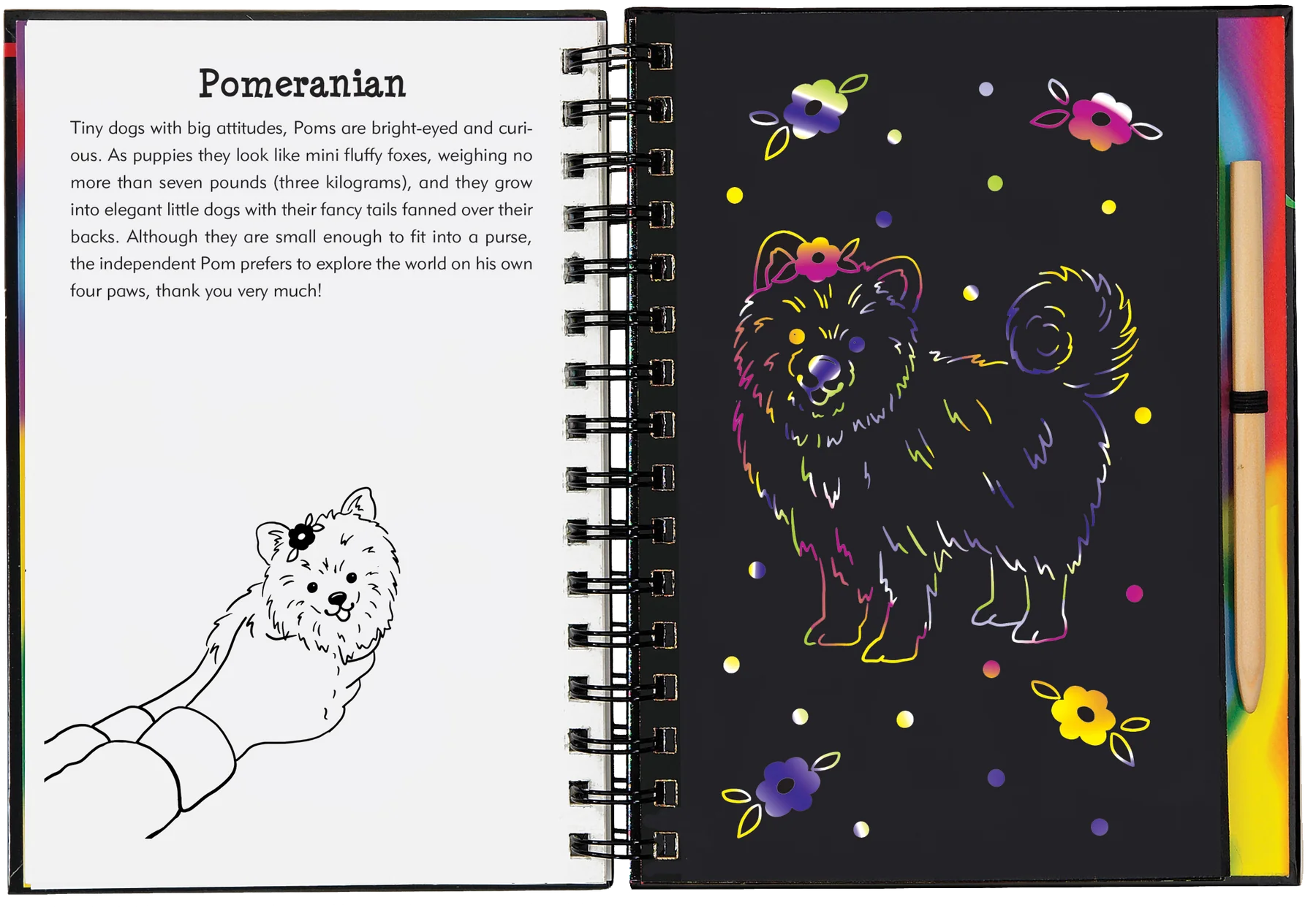 Peter Pauper Press - Scratch & Sketch Puppies