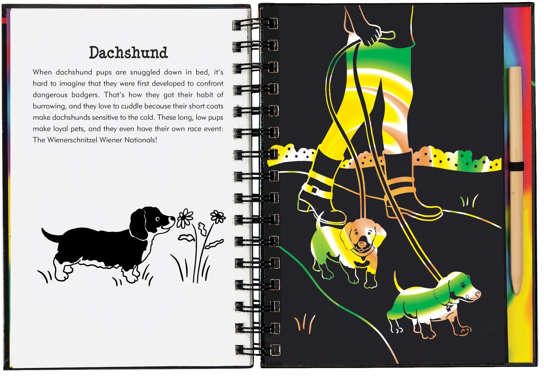 Peter Pauper Press - Scratch & Sketch Puppies