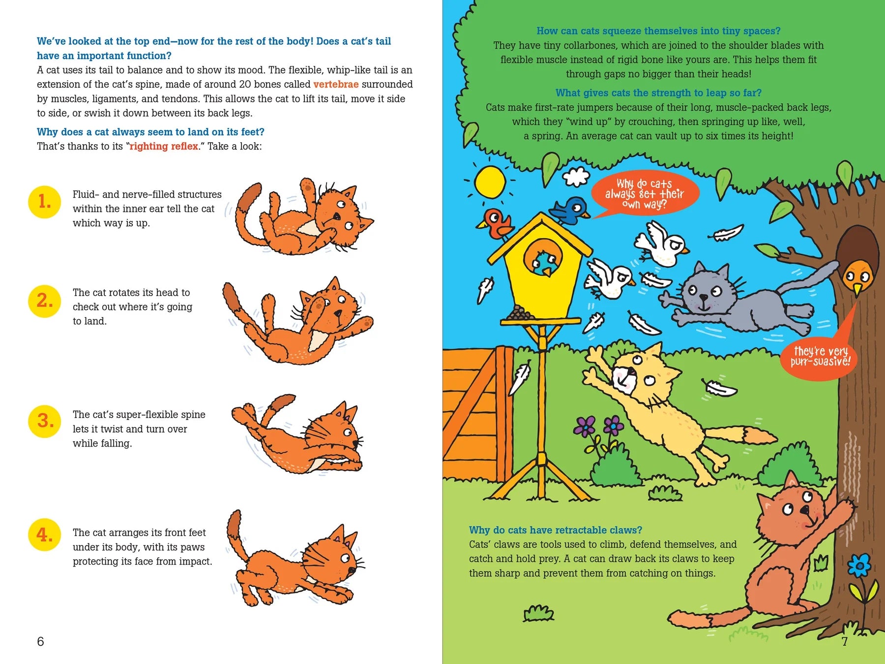 Peter Pauper Press - Book 100 Questions About  Cats