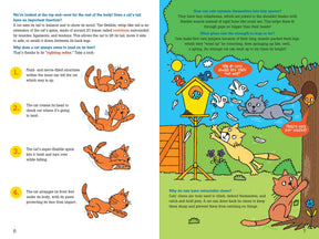 Peter Pauper Press - Book 100 Questions About  Cats