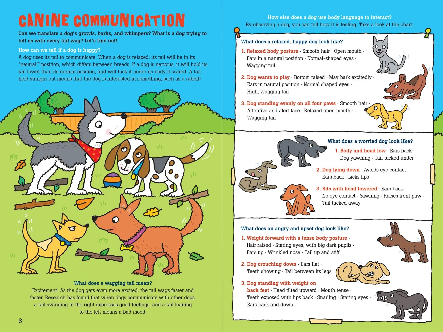 Peter Pauper Press - Book 100 Questions About Dogs