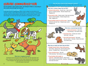 Peter Pauper Press - Book 100 Questions About Dogs