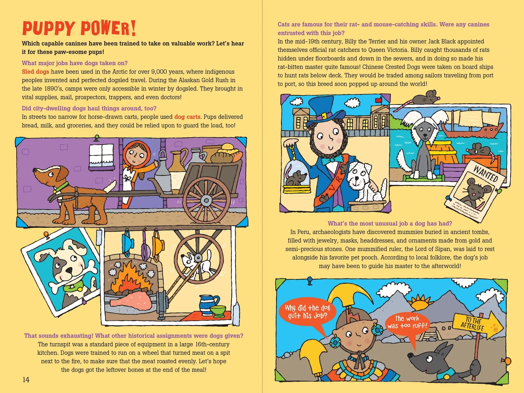 Peter Pauper Press - Book 100 Questions About Dogs
