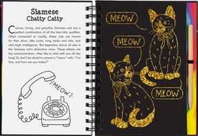 Peter Pauper Press - Scratch & Sketch Kittens