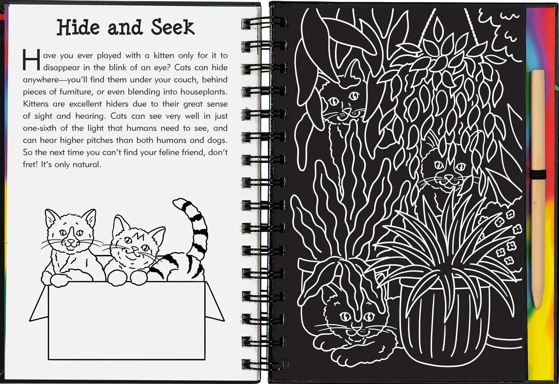 Peter Pauper Press - Scratch & Sketch Kittens