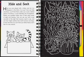 Peter Pauper Press - Scratch & Sketch Kittens