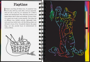Peter Pauper Press - Scratch & Sketch Kittens