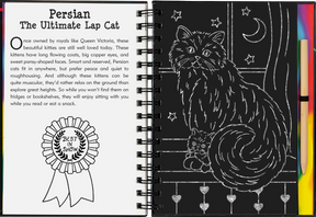 Peter Pauper Press - Scratch & Sketch Kittens