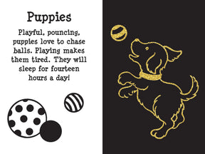 Peter Pauper Press - Scratch & Sketch Furry Friends