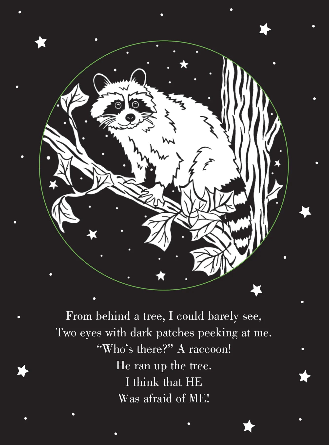 Peter Pauper Press - Book Whoo's There? Bedtime Shadow Book