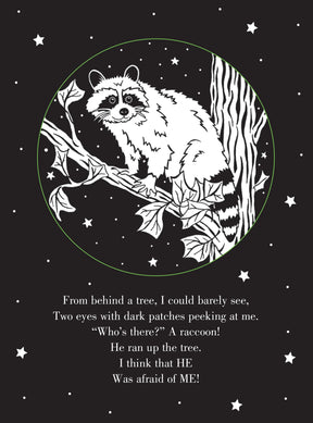Peter Pauper Press - Book Whoo's There? Bedtime Shadow Book