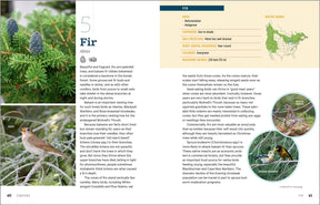 100 Plants To Feed The Birds Paperback Book