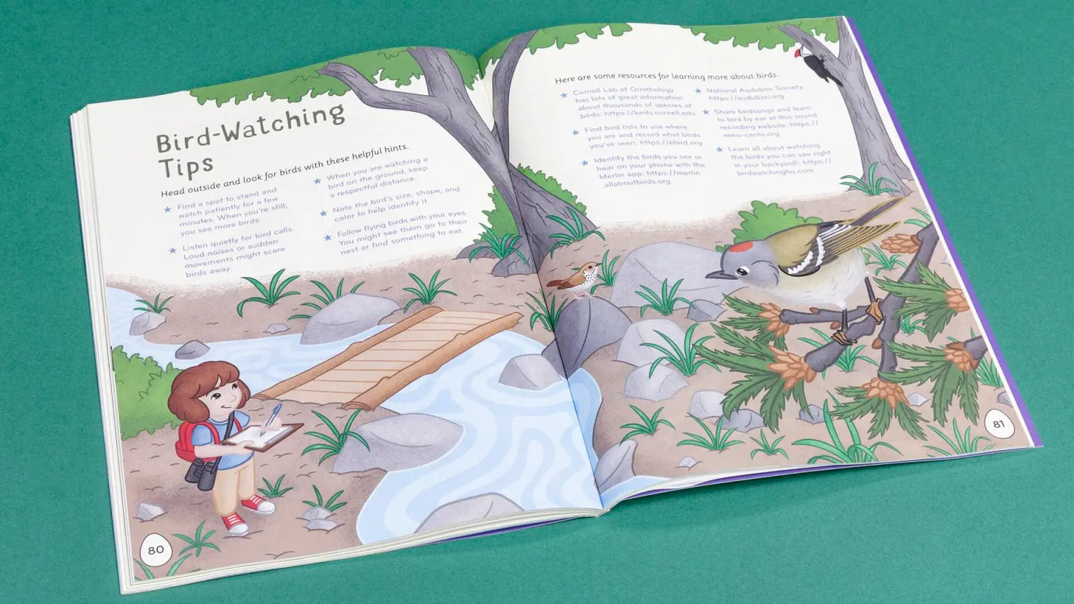 I Love Birds Activity Book