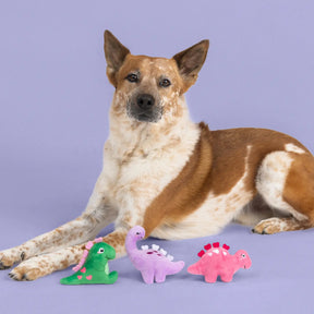 Petshop by Fringe Studio - Dog Toy Saur Much Love (set of 3)