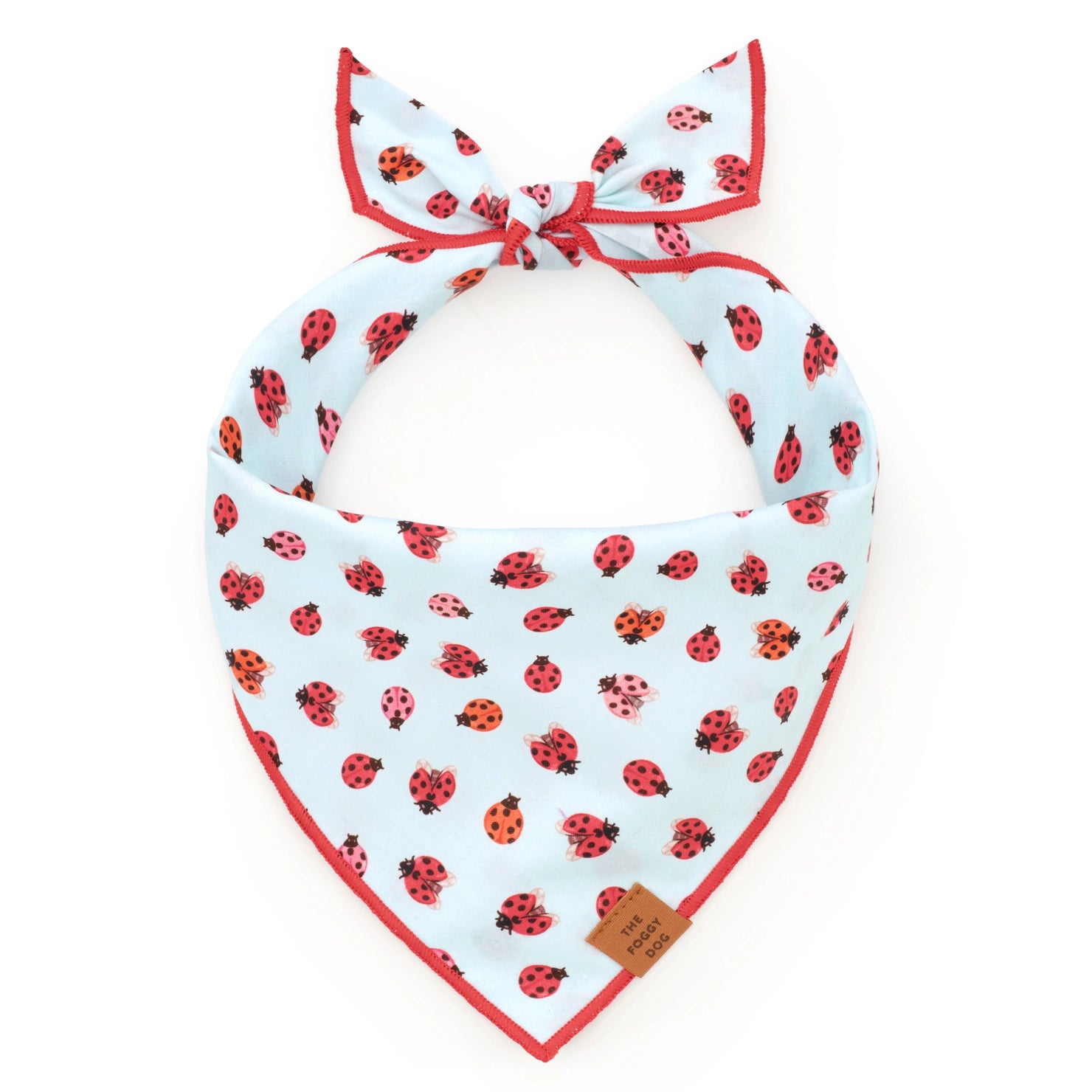 The Foggy Dog - Bandana Love Bug Spring