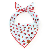 The Foggy Dog - Bandana Love Bug Spring