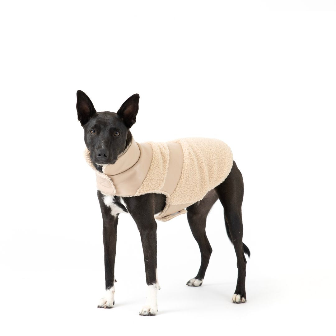 fabdog - Puffer Fab Ski Leather Shearling