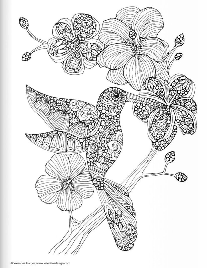 Wellspring- Coloring Book - Creative Coloring Birds