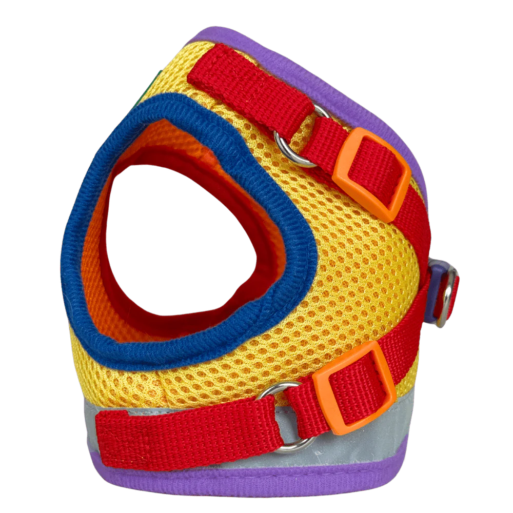 Travel Cat - Harness & Leash Set - "The Rainbow"