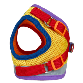 Travel Cat - Harness & Leash Set - "The Rainbow"